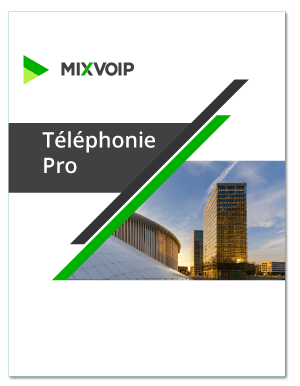 téléphonie professionnelle MIXvoip